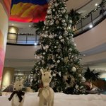 ツイートに含まれる画像