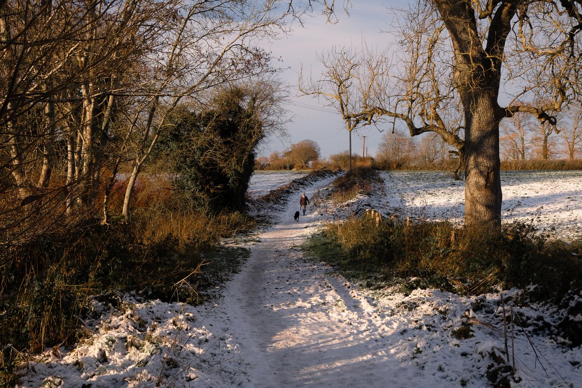 IanRobb23's tweet photo. Receding in the warm sunlight #streetphotography #snow #warmsun https://t.co/7Oekcmd3ps