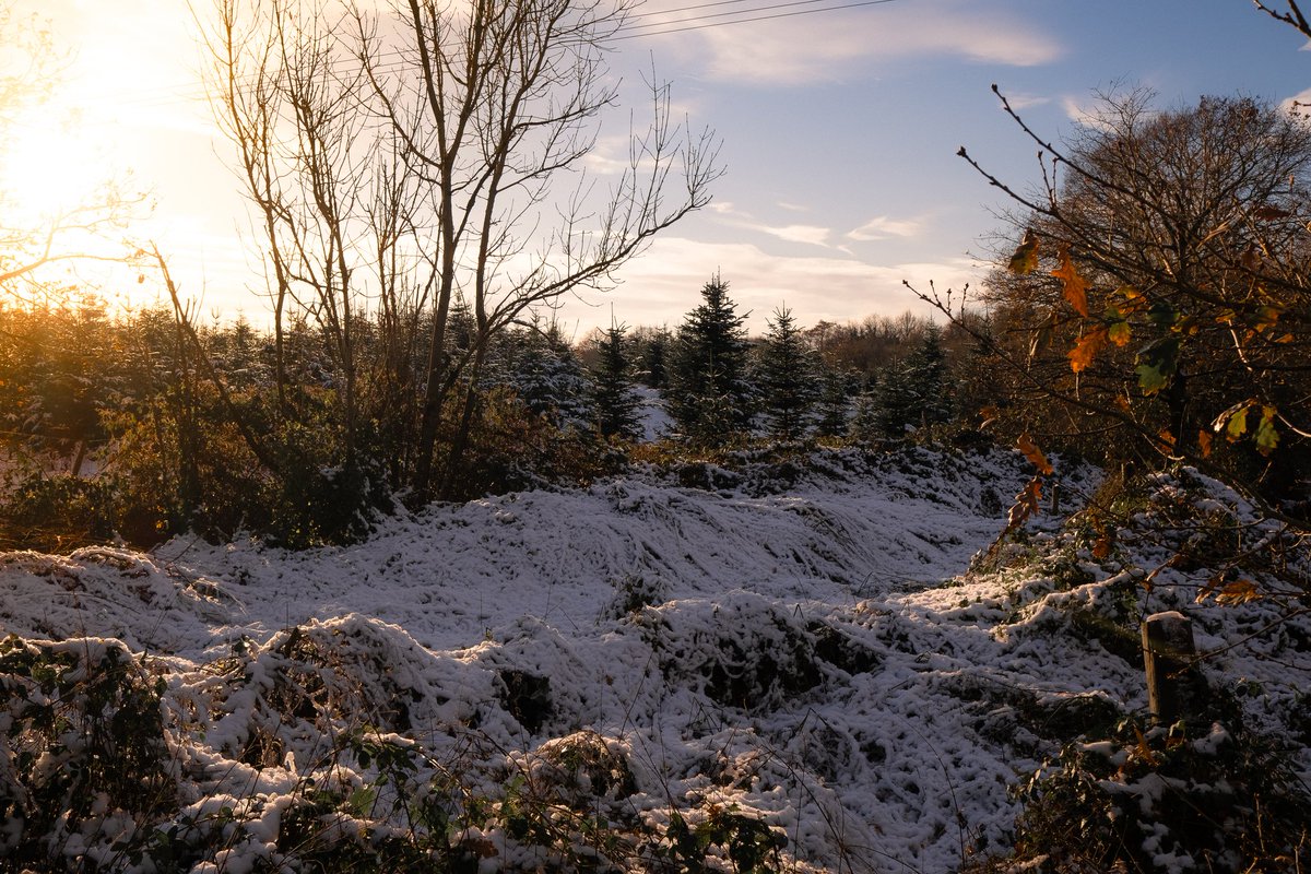 IanRobb23's tweet photo. Receding in the warm sunlight #streetphotography #snow #warmsun https://t.co/7Oekcmd3ps
