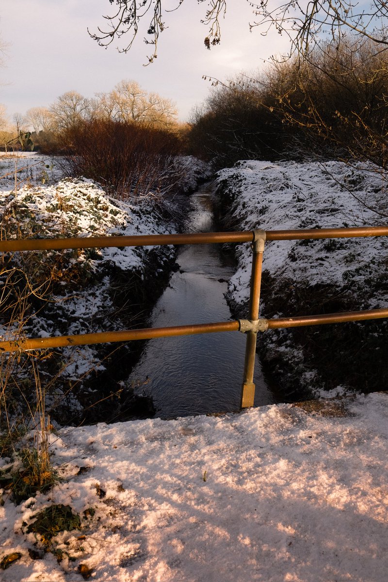 IanRobb23's tweet photo. Receding in the warm sunlight #streetphotography #snow #warmsun https://t.co/7Oekcmd3ps