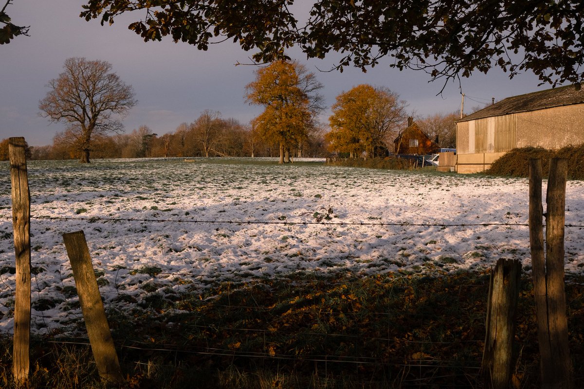 IanRobb23's tweet photo. Receding in the warm sunlight #streetphotography #snow #warmsun https://t.co/7Oekcmd3ps