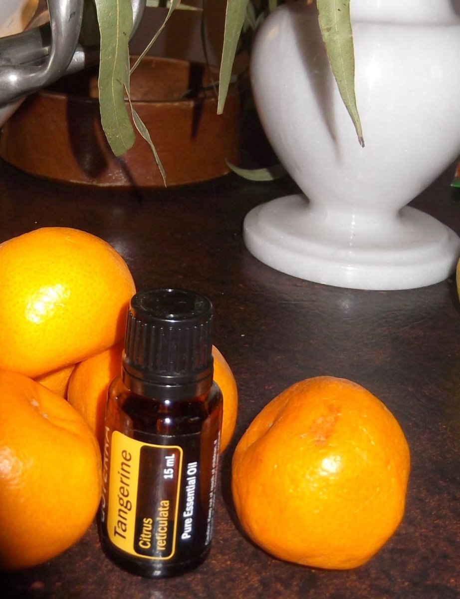 munroe56's tweet photo. Excited to share the latest addition to my #etsy shop: Tangerine Essential Oil, 15 ml https://t.co/9X4RxOSftq #essentialoils #tangerineoils #citrusoils #bathoils #spaoils #foodoils #diffuseroils #fragranceoils #soapoils https://t.co/Dc35x4iEbs