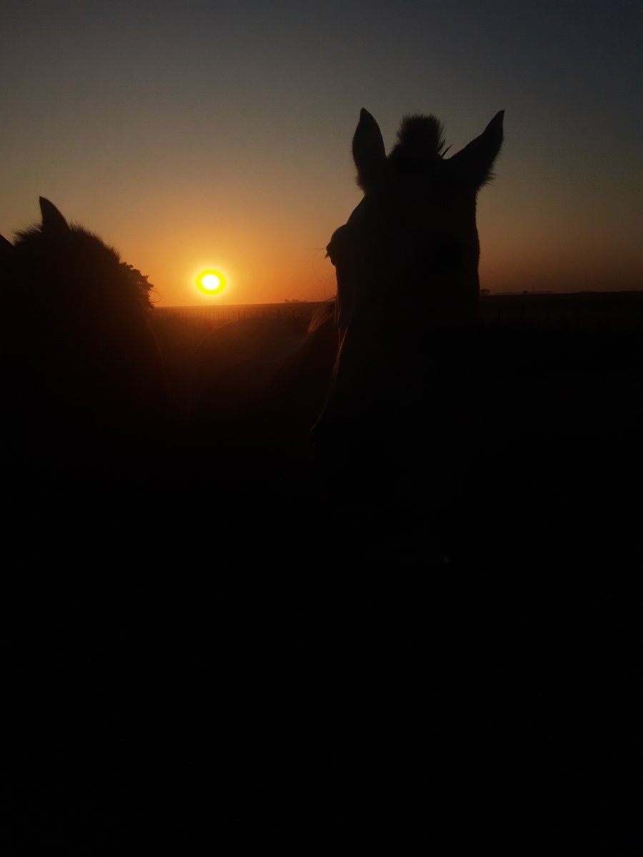 𝕺𝖜𝖓𝖊𝖗𝖘 𝕺𝖋 𝕿𝖎𝖒𝖊 (@lanevematias) on Twitter photo 