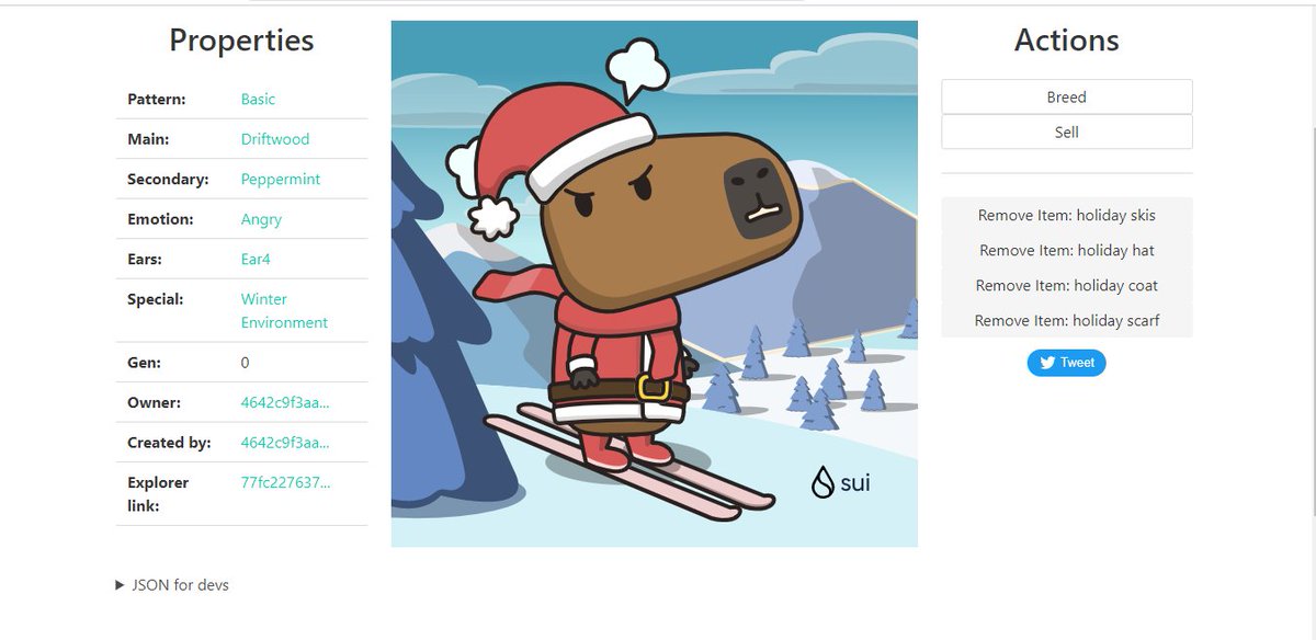 S0achin9's tweet photo. Cap-Chapulu Today I will win the skating match in the snow and tell everyone that I am the real hero
#CapyHolidays https://t.co/z4Q5TxTQMp