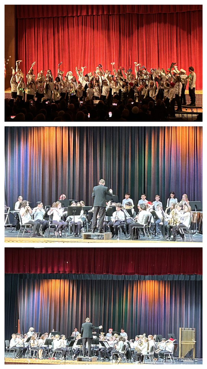 BethRoemerIT's tweet photo. Nothing like hearing our talented @IslandtreesMMS musicians spread JOY to our beautiful @IT_Bulldogs community at tonight’s 5th and 6th Grade Winter Concert! @msmarcusmusic https://t.co/c3agnYARmT