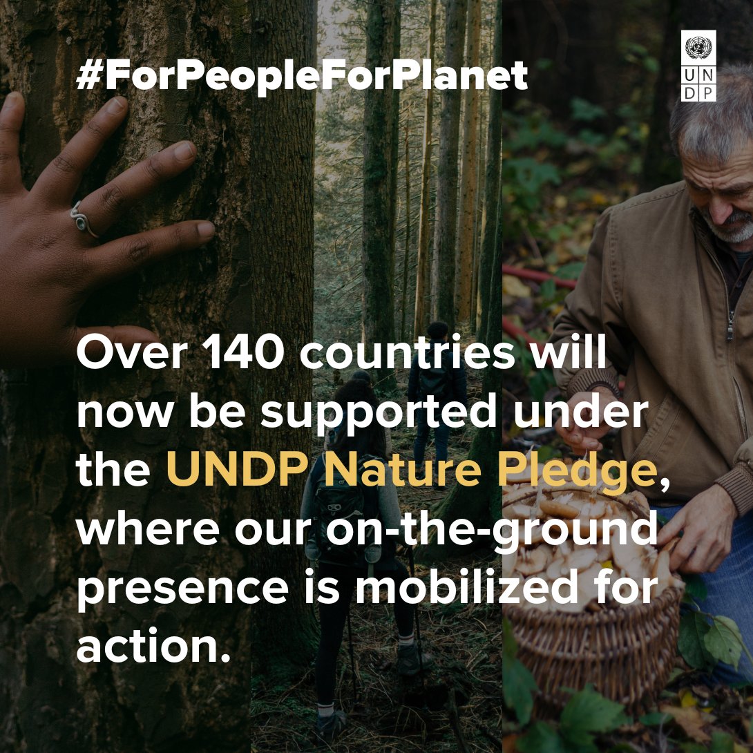 #COP15 ends today, <a href="/UNDP/">UN Development</a> reaffirms its commitment to deliver the systemic changes that can shift the needle on our nature crisis.
 
Through the #UNDP Nature Pledge, we are committed to turning this blueprint into reality💡
 
#ForPeopleForPlanet