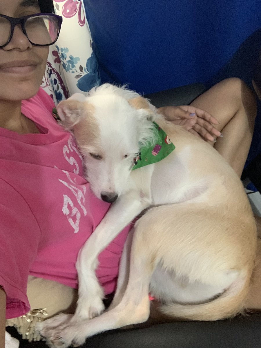 dailybimbo's tweet photo. my baby https://t.co/147DOQUxNO