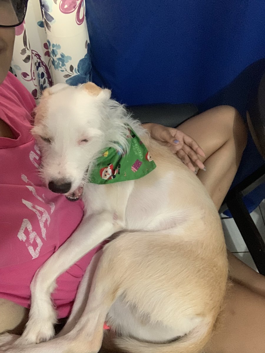 dailybimbo's tweet photo. my baby https://t.co/147DOQUxNO