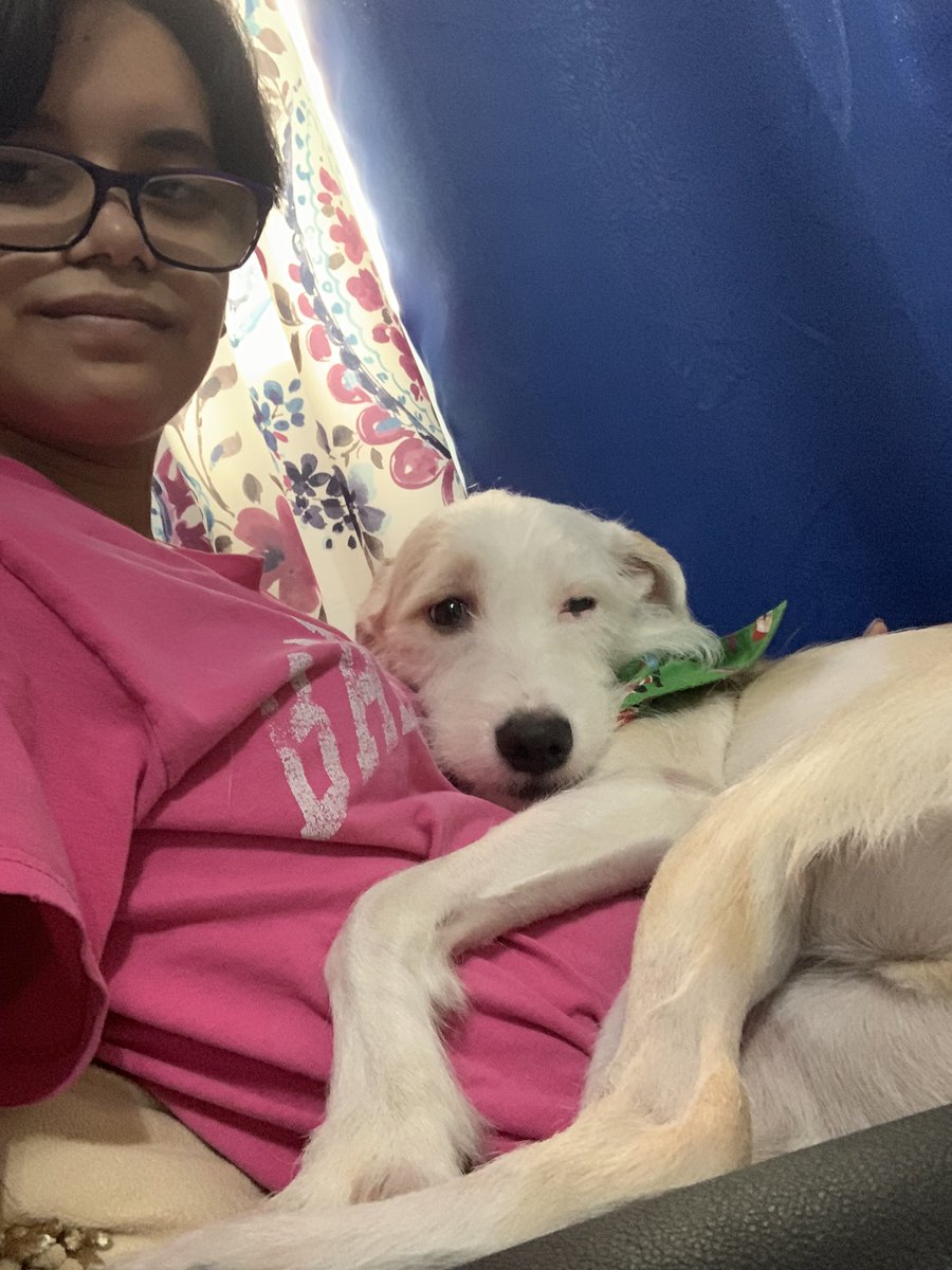 dailybimbo's tweet photo. my baby https://t.co/147DOQUxNO