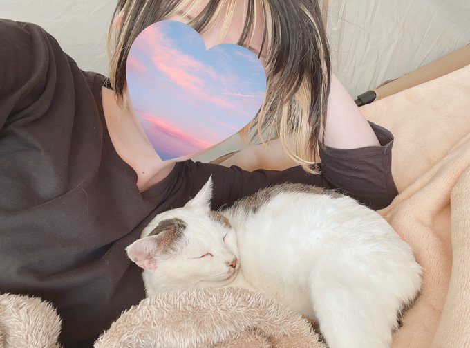 見て…猫とイチャイチャしてる… 