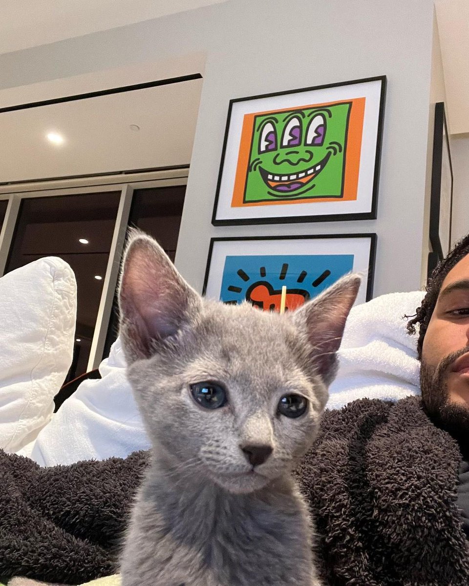 gx69y's tweet photo. Meow https://t.co/NEUCASeDzR