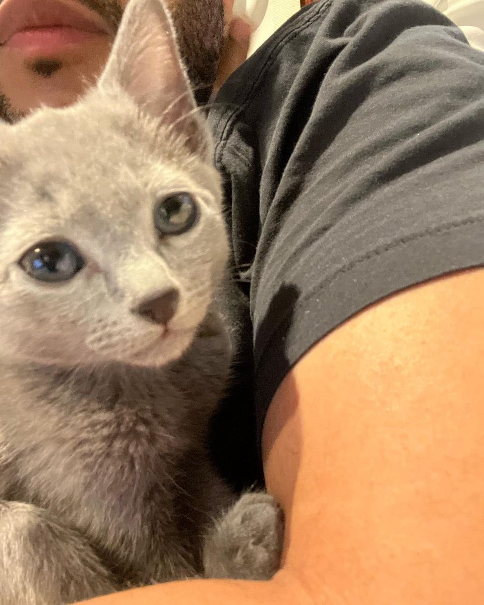 gx69y's tweet photo. Meow https://t.co/NEUCASeDzR