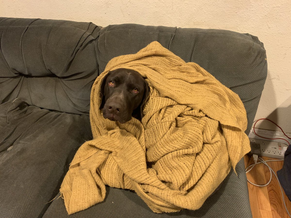TheMilesSmiles's tweet photo. Why won’t you turn up the heat? https://t.co/N2et4CTlDi