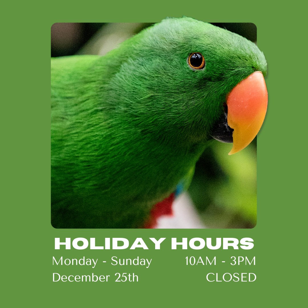 Butterfly Gardens tweet media