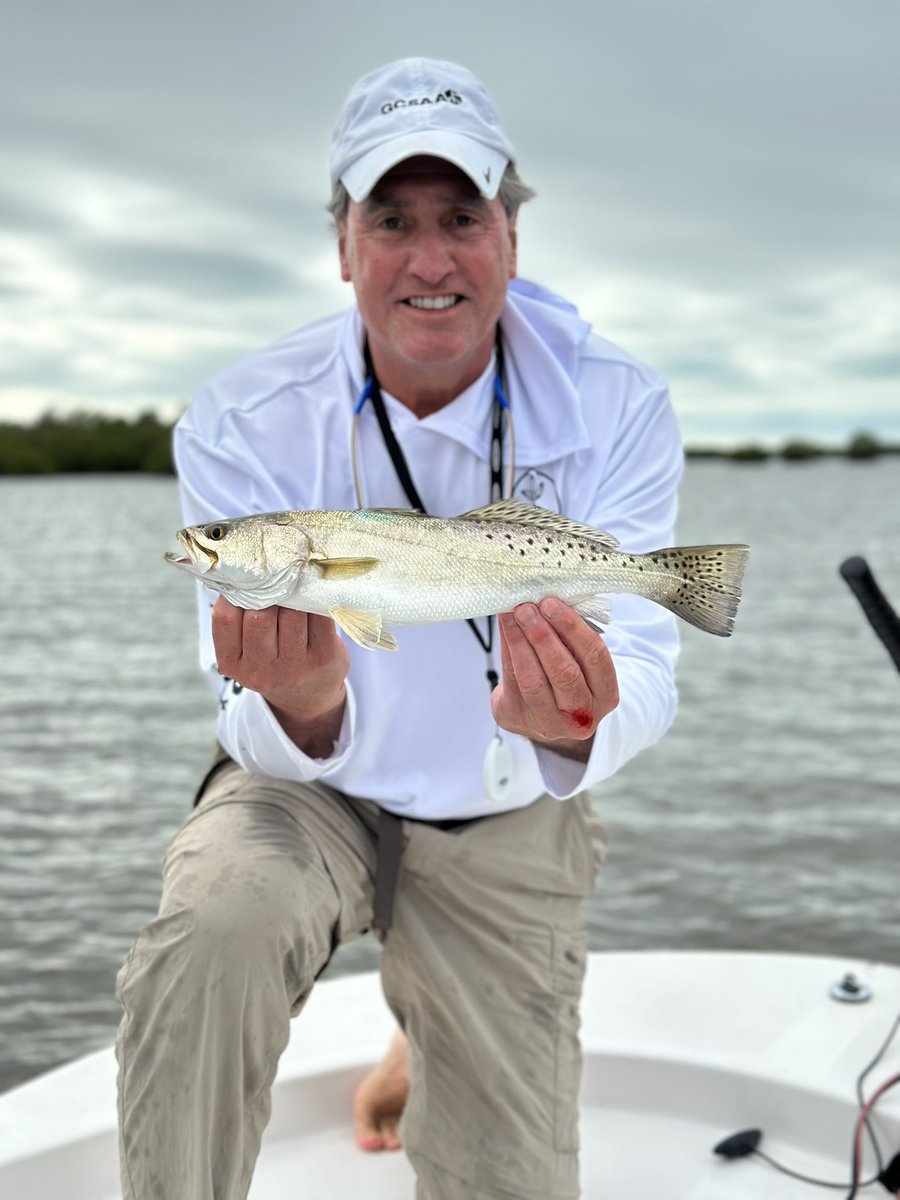 DarrenJDavisGCS's tweet photo. Never gets old Monday’s dinner caught on the weekend @evergladesnps #10000islands #Seatrout this week Lost count on the #Snook caught #catchandrelease #Redfish & #MangroveSnapper #backwaterfishing #swfl #gulftotable @carolina_skiff @minnkotamotors @gcsaa @manggear @Columbia1938 https://t.co/1bryeEVNaH