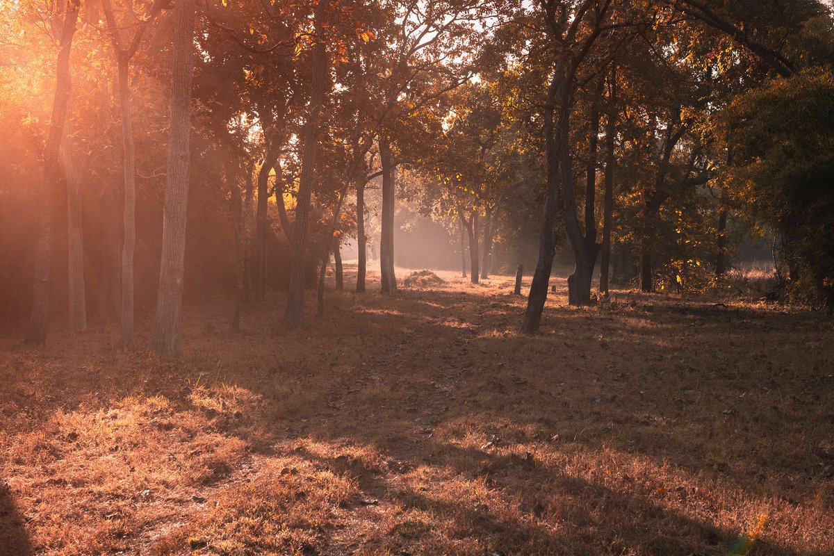 Kiran Ghadge tweet media