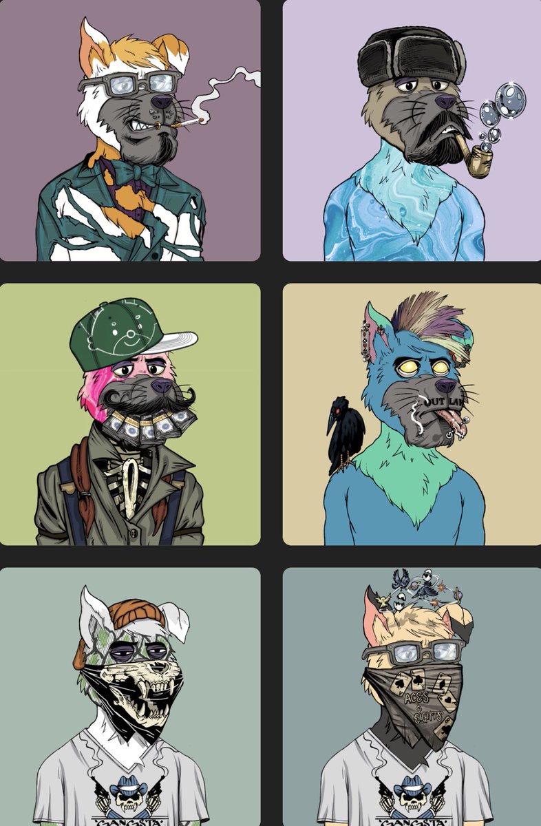 Mystic Tom - Bro 🚫🧠 tweet media