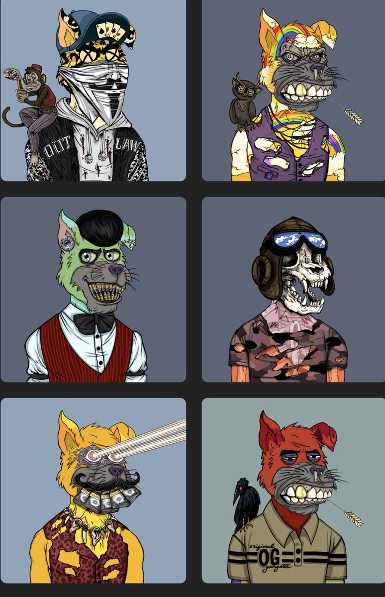 Mystic Tom - Bro 🚫🧠 tweet media