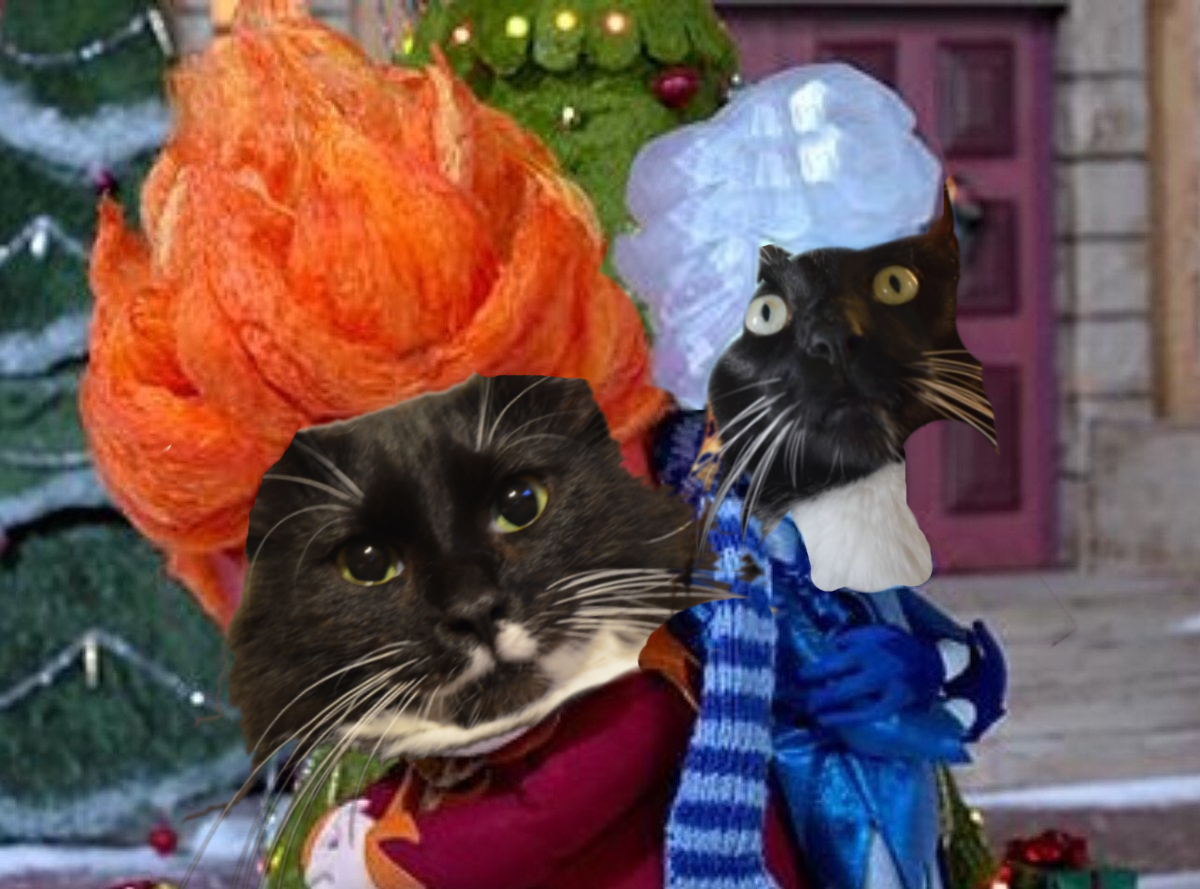 MrWuggums's tweet photo. heri here.. just two bros enjoyings da holidays..
#Heatmiser #Coldmiser #ChillTent ๐ฅโ๏ธ https://t.co/KUtmlwchII
