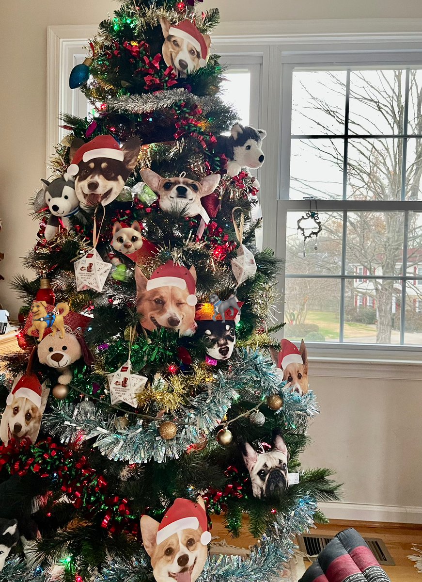 CurtisSChin's tweet photo. #ShowMeYourTree!
Been able to visit 🇸🇬🇹🇭🇮🇩🇰🇭🇲🇾🇯🇵 this year but now headed home to 🇺🇸 for the 🎅🏻🧑🏻🎄 holidays where it seems a 🐶🐕🦮🐩🐕🦺-themed 🎄 awaits. #noplacelikehome
#MerryChristmasToAll #HappyNewYear and #HappyHanukkah #Kwanzaa & more. Blessings of the season to all. https://t.co/sVdHDR05it