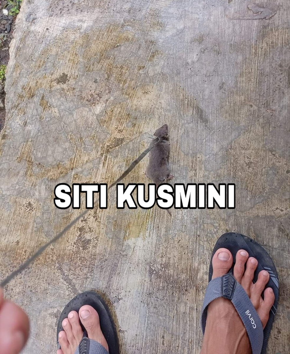 mas pam tweet media