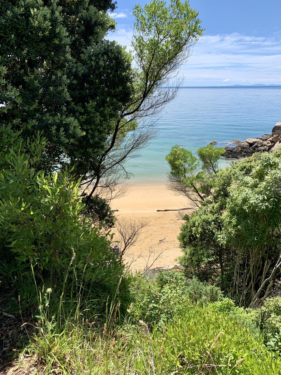 BirdieBangkok's tweet photo. Hotdog leg pic as specially requested by @goo_stewart found a secluded beach today. #BreakerBay not missing Thailand yet. 😬 #BirdieInNewZealand https://t.co/siO7MiieR0