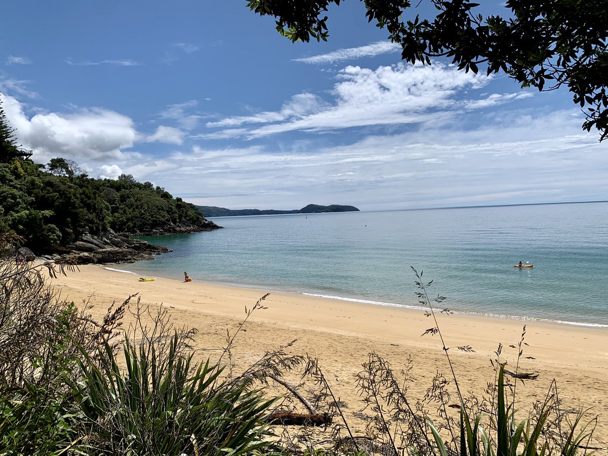 BirdieBangkok's tweet photo. Hotdog leg pic as specially requested by @goo_stewart found a secluded beach today. #BreakerBay not missing Thailand yet. 😬 #BirdieInNewZealand https://t.co/siO7MiieR0