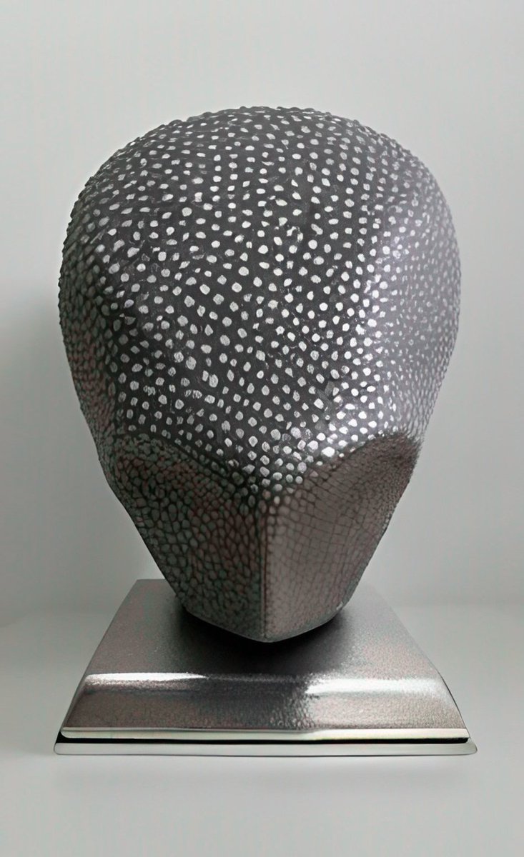 antropovarts's tweet photo. #003

Imagine! A collection of sculptures made from meteorites or containing their fragments. Sculptures in the form of creatures from distant space remind us of the alien nature of the origin of the matter from which they are created. Meet the Invaders!

#nfts #nft #NFTCommunity https://t.co/fJBXugDD6p