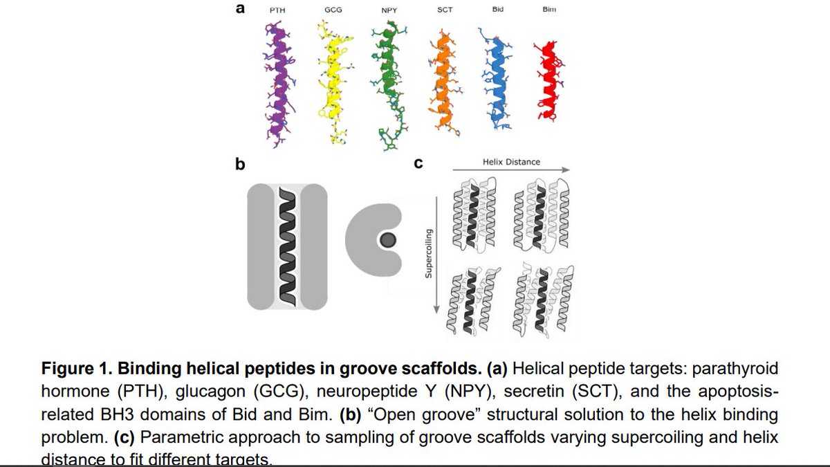 tim_stasevich's tweet image. Who knew the future of antibodies was hotdogs! #RFDiffusion #biorxiv biorxiv.org/content/10.110…