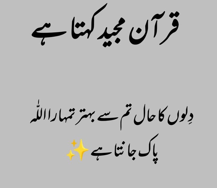 Hooreharam2's tweet photo. السلام و علیکم 
صبح بخیر 🥀 https://t.co/detq7akA9j