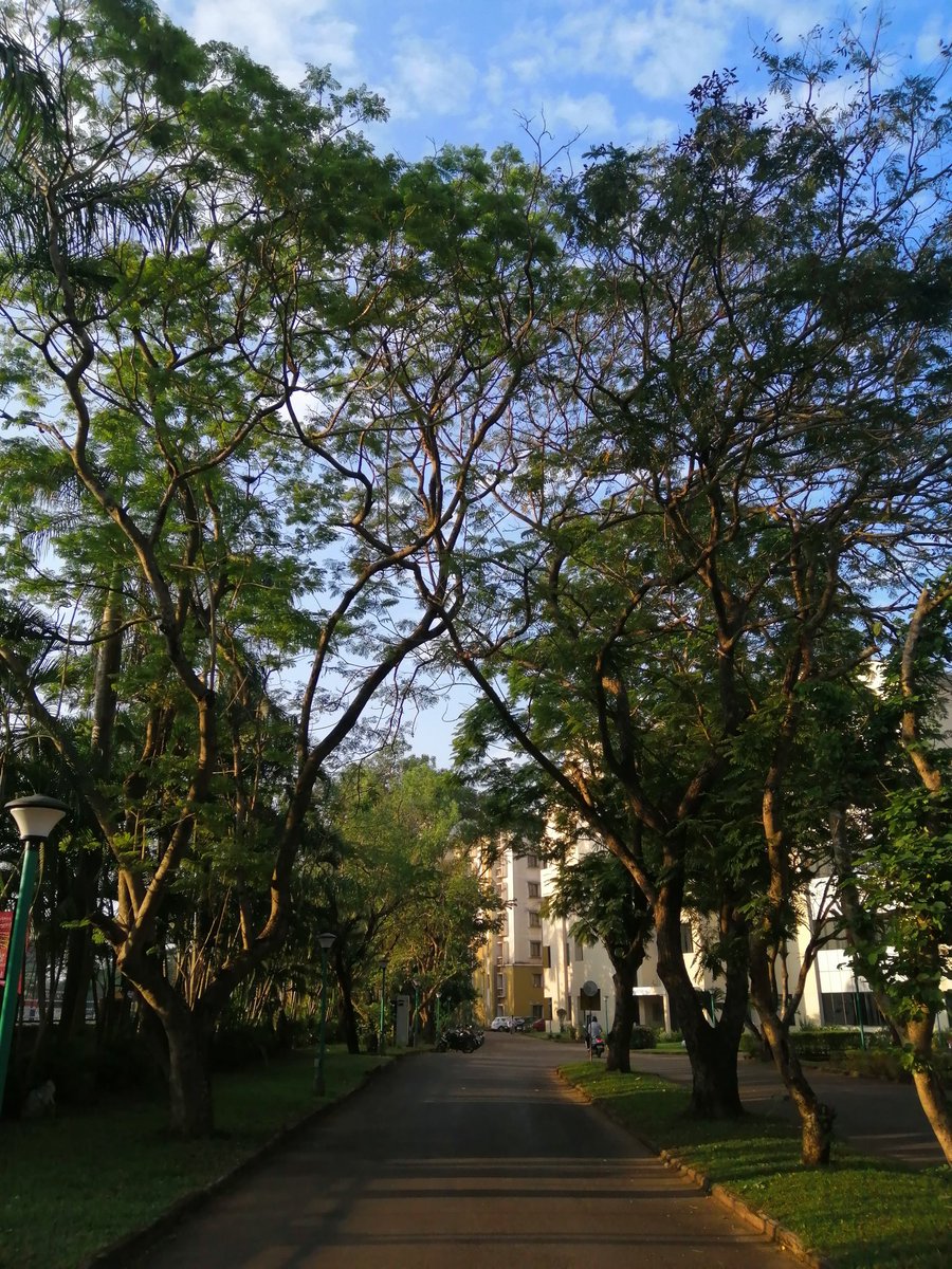 indneuro_MAHE's tweet photo. #Day2 Starts!!!! 

How are you liking the #Manipal weather folks! https://t.co/xoYTpNw82i