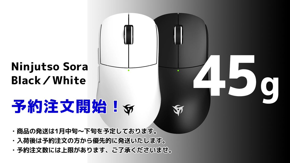Ninjutso sora мышь. Ninjutso sora мышь