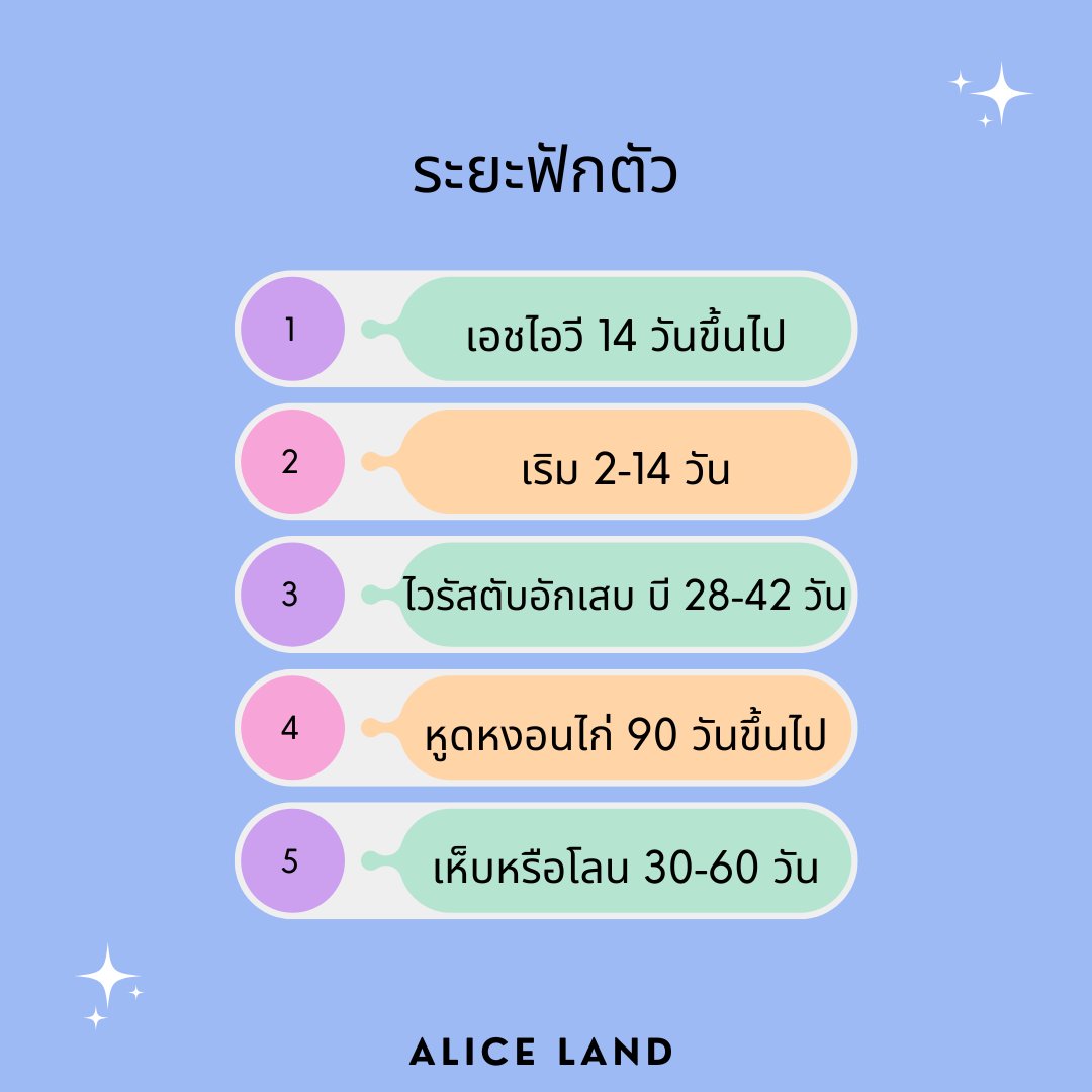 Alice_Land tweet media