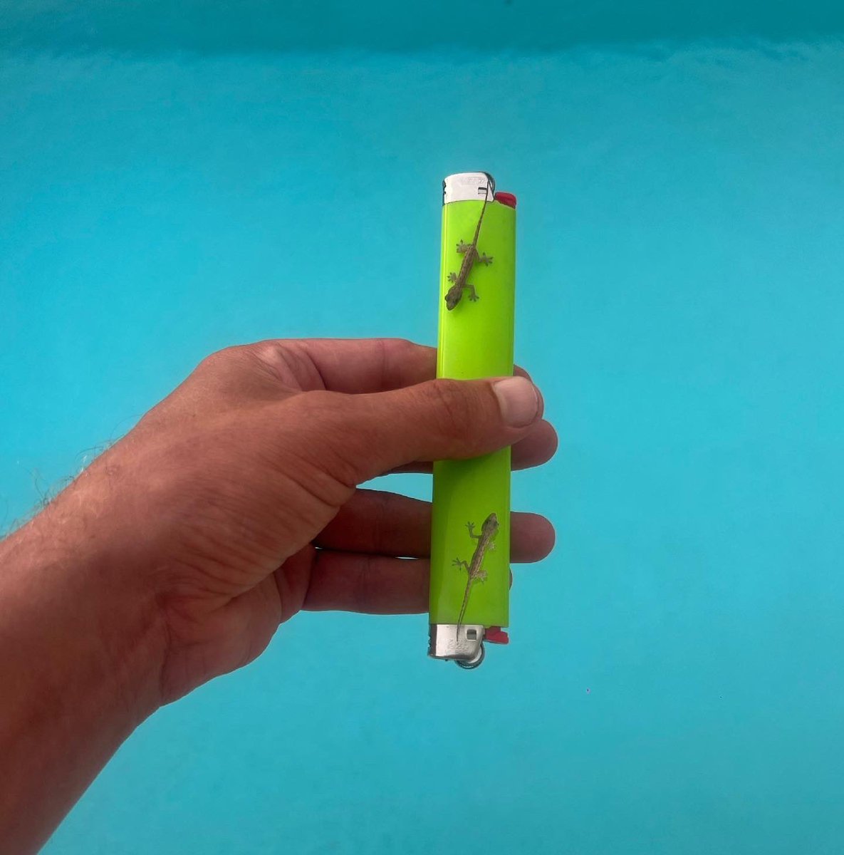 DoubleLighter's tweet photo. Post #2
#doublelighter #doublelighter.com https://t.co/NLpfGTEUBA