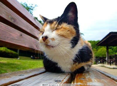 jane_dap's tweet photo. 人生（じんせい）は、先（さき）の見（み）えない航海（こうかい）です。 https://t.co/IBeRgyTJWB