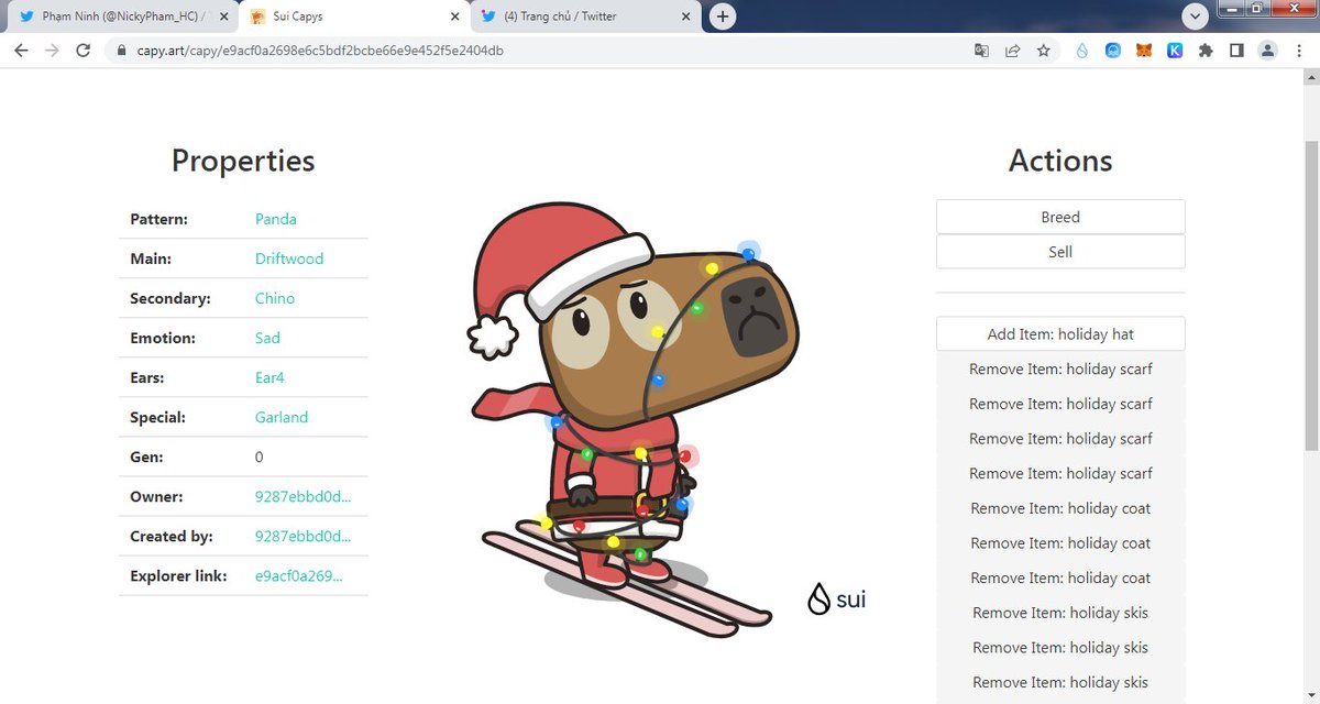 vanloc678's tweet photo. 🎁 I just unboxed my Sui Holiday Capy! ❄️ 
Create your own Capy here:  https://t.co/Qp5w0WwHFL #CapyHolidays https://t.co/XSy9oxXNix