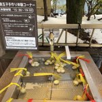 M.K⚾️?のツイート画像