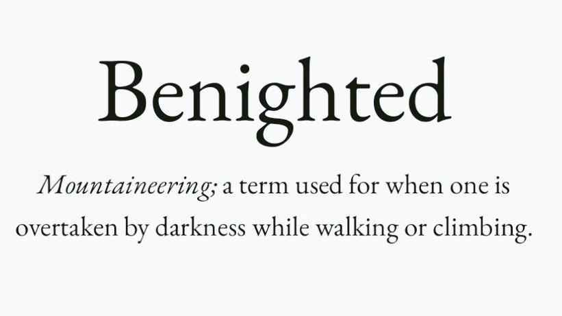 arealmofwonder's tweet image. The Wild Winter Word War 😮

Pick your winner.

A B
C D