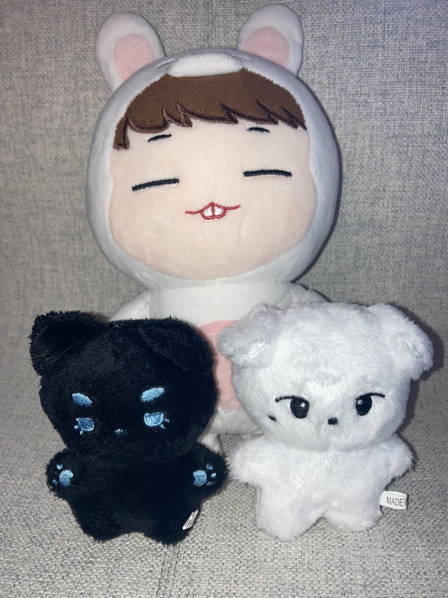 mysunyy's tweet photo. 하얗고.. 부드럽고.. 말랑말랑… 😭😭

@maltippu https://t.co/7GYwaxuHoD