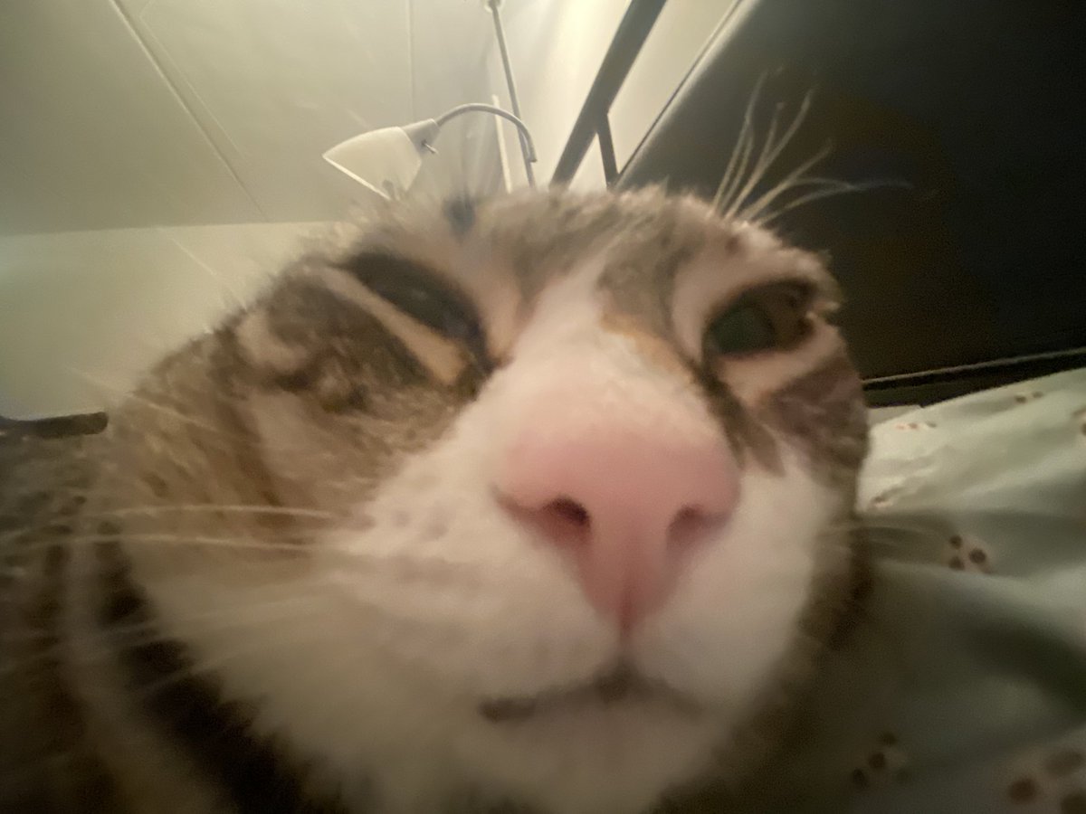 parxgender's tweet photo. YUO STINK. https://t.co/rqNq3XctAq