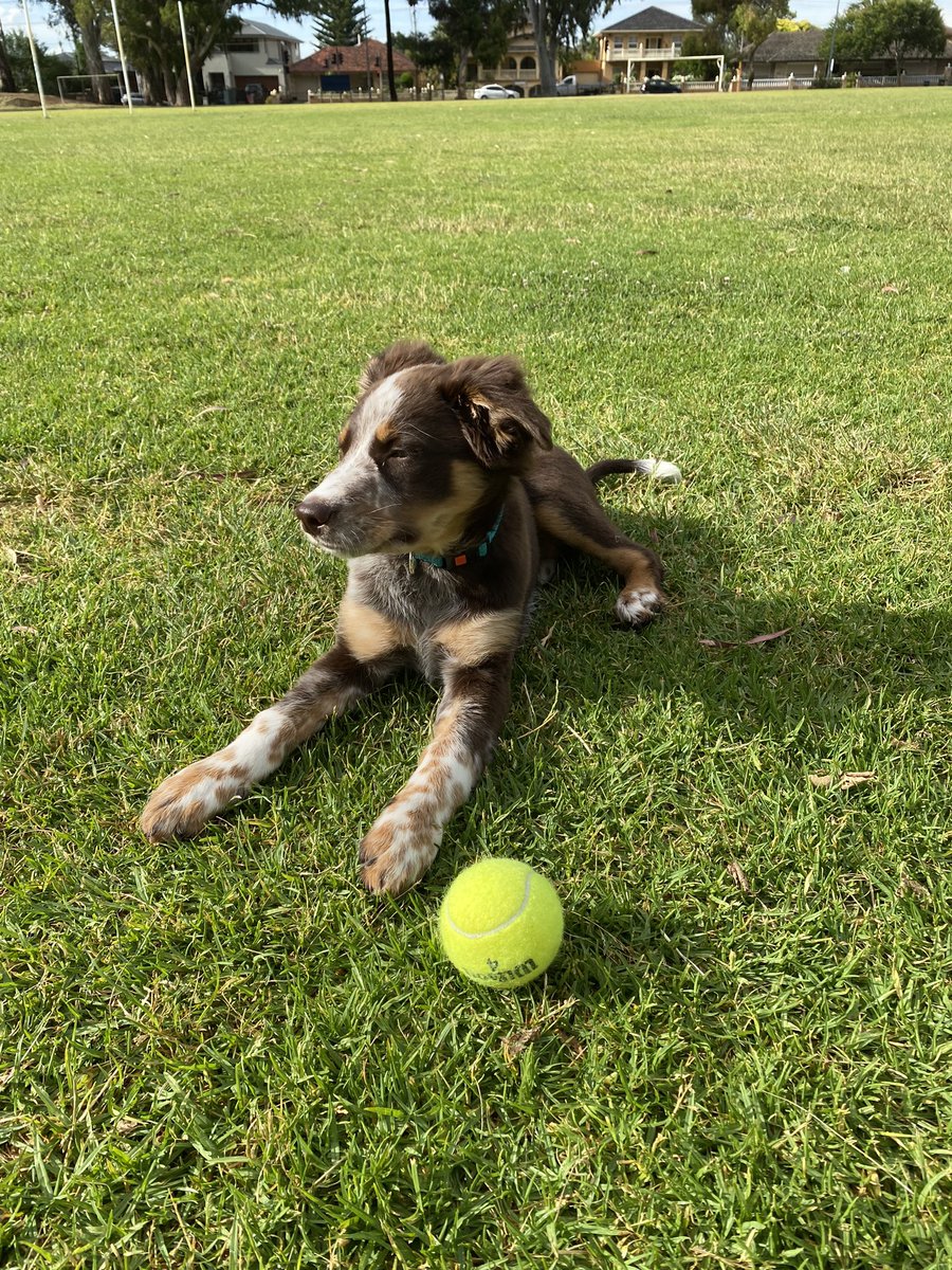 Dan Popping tweet media