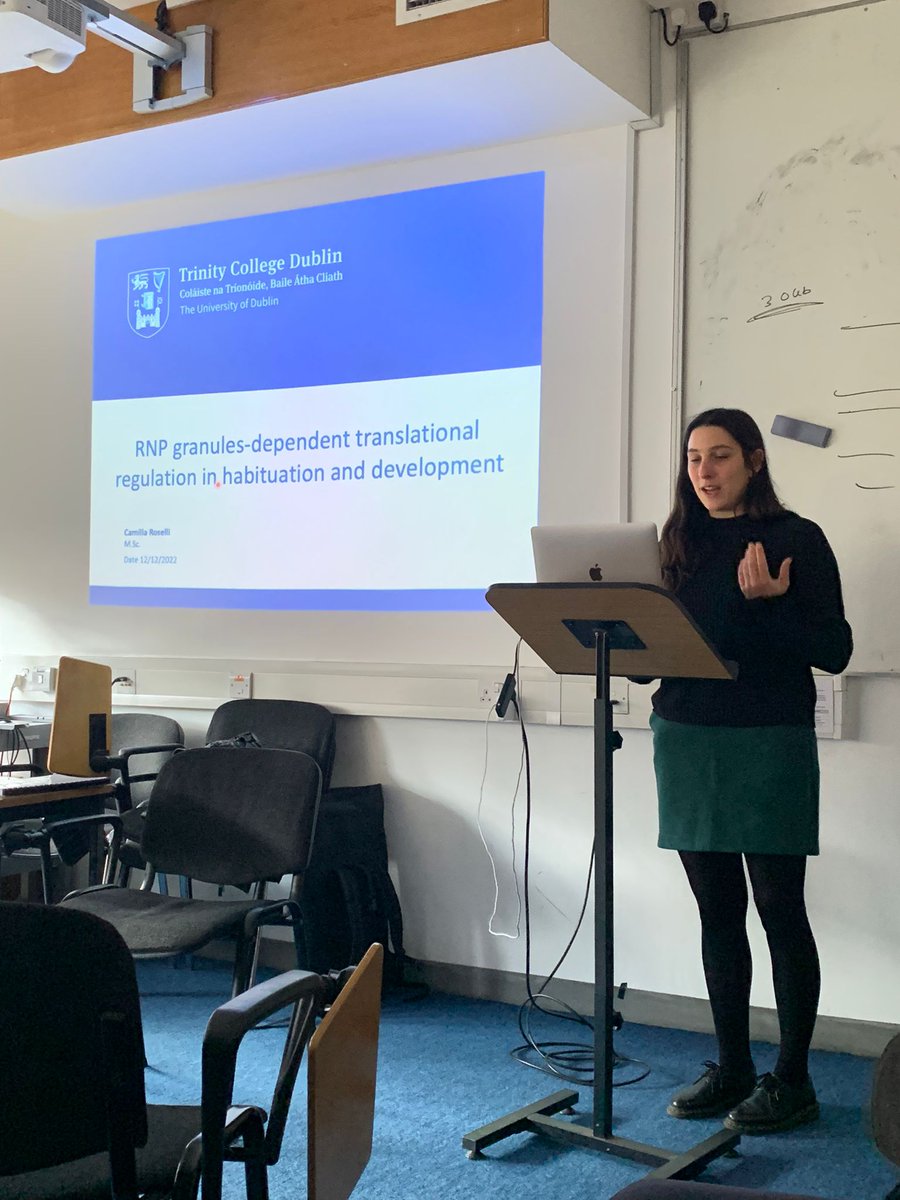 Camilla Roselli tweet media