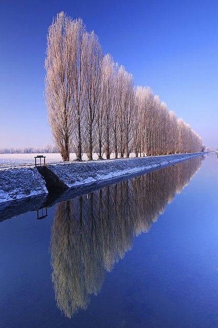 EjazGujjar55's tweet photo. Good morning everyone https://t.co/jTMYqi6Gfe