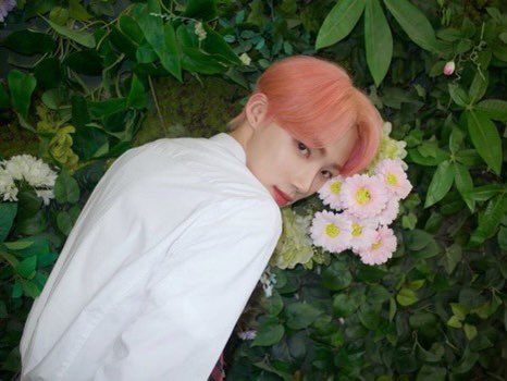 chanibtt's tweet photo. ㅤ  ﹙ઇઉ﹚  𝅄࣪ ׅ   deobi are you there?!   ֺ۪ ⭒

        み—chanhee bᏪt ha llegado 
     para apoyarte en cada momento. 

    🤍•recuerda que te amo mucho
        y estoy sumamente orgulloso 
                      de ti. 

                 ꒰ ¿ fav nd rt ? ꒱ https://t.co/2k3kLbHThl