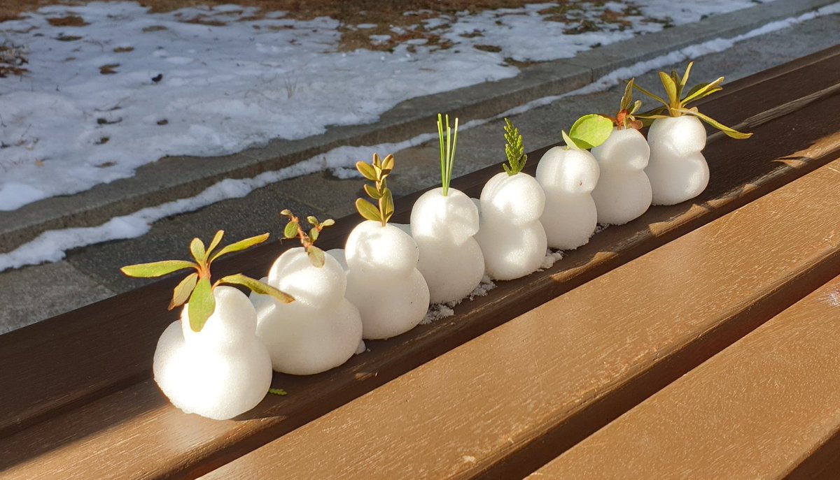 눈오리 만들었다고 아빠가 자랑하심ㅋㅋㅋ