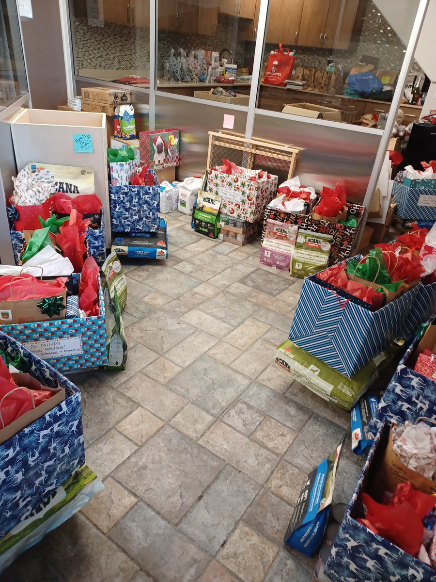 ParachutesP's tweet photo. Thank you doesn't seem like enough.
@unleasheddogyyc
#peoplepetscommunity #community #christmascheer #christmasspirit #petlover #petlove #yycdogs #homeless #vulberable #doghosueofhope #donate #giveback #handup #heretohelp #yyc #calgary https://t.co/9bXtLMQxSs