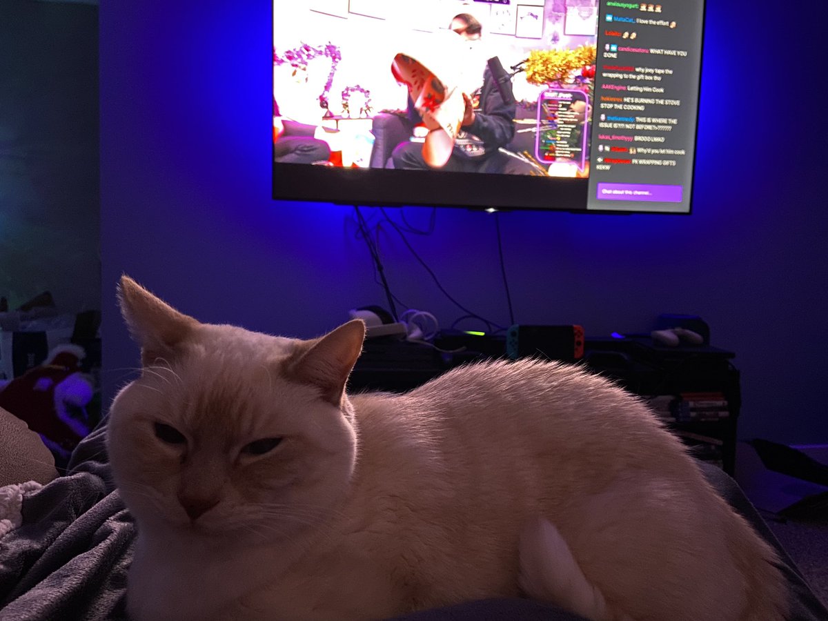 topazchelle's tweet photo. @TrashTastePod Watching the bois with 🐈 #TrashTasteChristmas https://t.co/jorxr3SZNJ