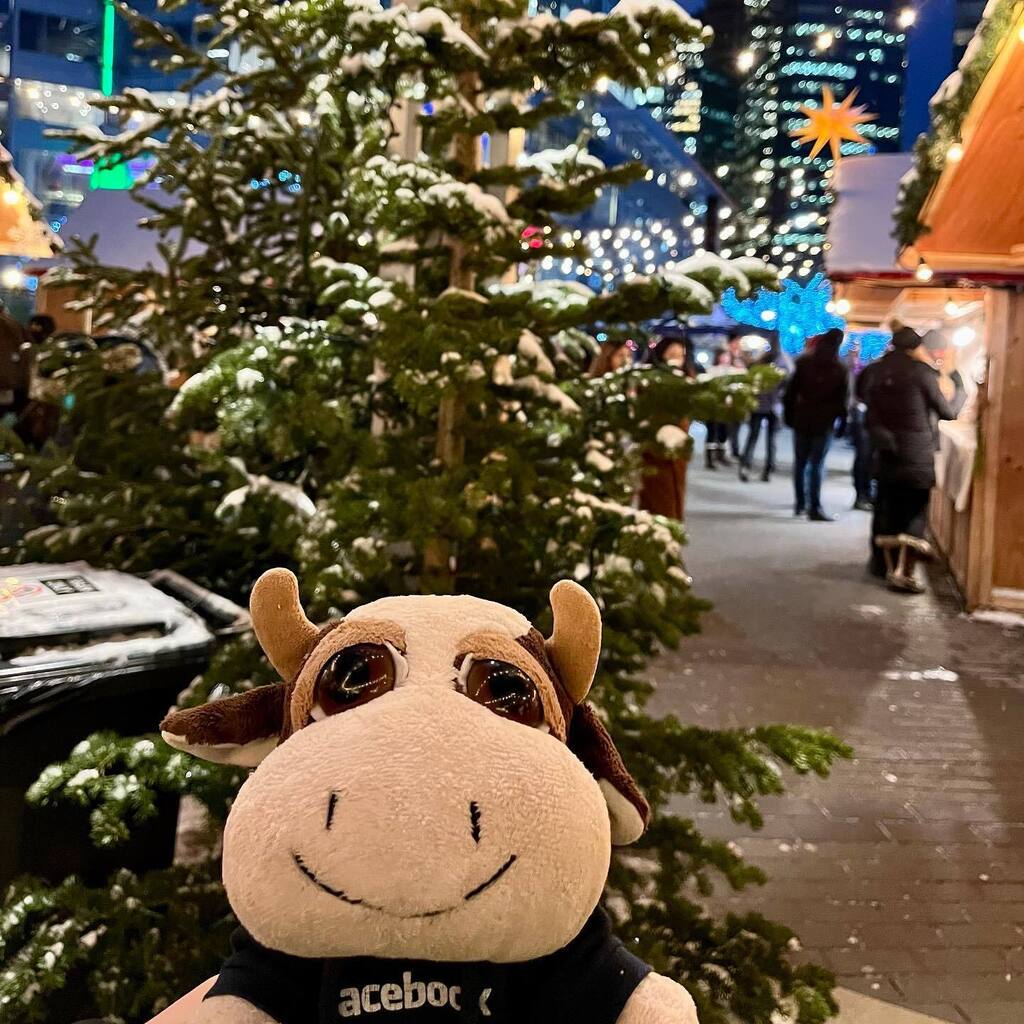 Marlow Moo 🐮 (@marlowmoo) on Twitter photo Night out at <a href="/vanchristmas/">Vancouver Christmas Market</a> ! #marlowmoo #moo #vancouver #vancity #christmas instagr.am/p/CmX--StLDJd/ Night out at <a href="/vanchristmas/">Vancouver Christmas Market</a> ! #marlowmoo #moo #vancouver #vancity #christmas instagr.am/p/CmX--StLDJd/