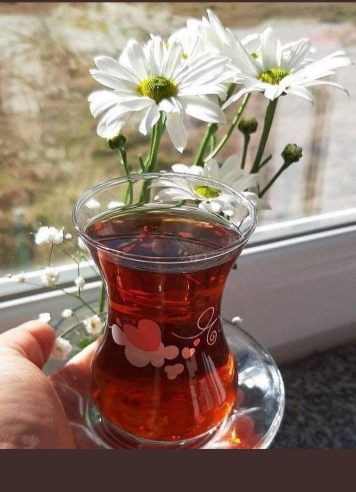 Bu günün dününüzden daha güzel olması dileğiyle,mutlu sabahlar dostlar. #GÜNAYDIN #YENİGÜN #SALI #SEVGİ #SAYGI #MUTLULUK #HUZUUR