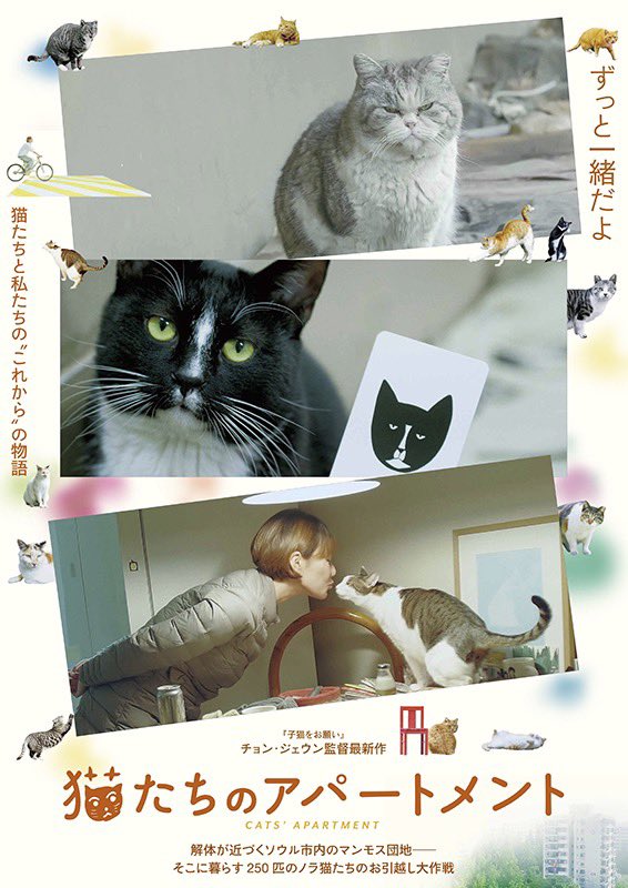 【🐈 今週の2作目は「猫たちのアパートメント」 “猫を愛でる肯定感と巨大団地の変貌の先にある光景”（髙橋直樹）👉https://t.co/vEJGGkSEAQ 予告編は👉https://t.co/yrhKpaX0rt @cats_apartment